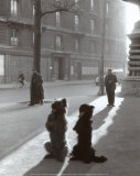Les Chiens de la Chapelle Kunstdrucke von Robert Doisneau
