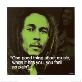 Bob Marley Reprodukce