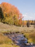A Stream Flows Through a Mountain Clearing on a Fall Day Photographic Print by Taylor S. Kennedy