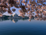 Japanese Cherry Blossoms Frame the Jefferson Memorial and the Tidal Basin Lámina fotográfica Japanese Cherry Blossoms Frame the Jefferson Memorial and the Tidal Basin Lámina fotográfica
