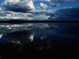 A Lone Flamingo is Dwarfed by in an Expanse of Water Photographie