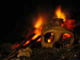 Close view of the skull of a Neandertal woman Lámina fotográfica Close view of the skull of a Neandertal woman Lámina fotográfica