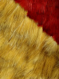 Traditional Hawaiian Feather Cape Composed of Feathers from Native Birds Photographic Print by Chris Johns