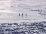 Skaters on the Frozen Lake Photographic Print
