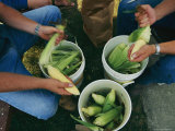 A Family Shucks Sweet Corn on Their Family Farm Photographic Print by Melissa Farlow