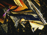 Magnified View of Hypo Crystals Photographic Print by Jr, Victor R. Boswell