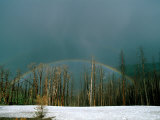 A Rainbow over a Burnt Forest in Yellowstone National Park Photographic Print