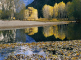 Autumn View Along the Merced River Photographic Print