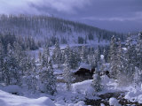 Bison Drink from a Pond in a Snow-Covered Yellowstone National Park Photographic Print