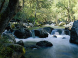 Woodland View of a Small Creek Flowing over Boulders Photographic Print by Marc Moritsch