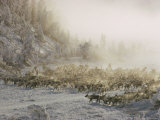 Yakut People Herding Reindeer Photographic Print by Dean Conger