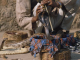 A snake charmer plays to his cobra in the streets of Mysore Lámina fotográfica