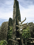 Animal Skulls Decorate a Tomb in Madagascar Photographic Print