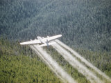 A Forest Service Plane Drops Fire Retardant on the Forest Below Photographic Print by J. Baylor Roberts