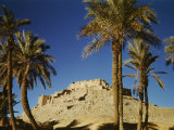 El Golea, the Old Ksar Photographic Print