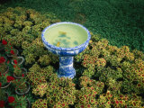An Ornate Fishbowl Decorates the Garden of Suzhou Photographic Print