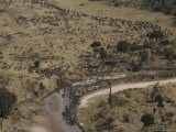 Aerial View of a Large Herd of Animals Crossing a Small River Photographie