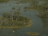 An Egret Flies over a Marshy Wetland Dotted with Small Islands Photographie