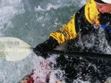 Man Kayaking a Rapid Called Iron Curtain Photographie