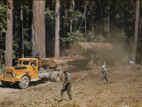 Lumbermen Transport Redwood Trees to a Nearby Mill Photographic Print by Willard Culver
