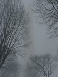 The Washington Monument in the Snow Photographic Print by Todd Gipstein