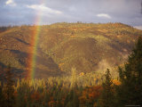 A Rainbow Arches over a Clearcut in the Stanislaus National Forest Photographic Print