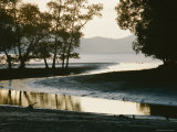 View of a Small Creek Emptying into a Bay Photographic Print by Mattias Klum