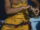 A Fisherman Extricates a Fish from a Net Photographic Print by Jodi Cobb