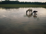 Mennonite Farm Child with Horse in a Water Hole Photographic Print by Randy Olson