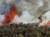 Fountains of Lava Explode as a New Volcanic Rift Slices Through Virgin Forest Photographie