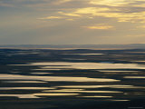 Twilight View of Marshland Photographic Print by Norbert Rosing