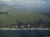 Serpentine Creeks Wind Through a Mangrove Swamp in the Park Photographic Print by Sam Abell