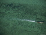 An Aerial View of a Boat Passing over Clear Green Water Photographie