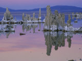 Tufa Towers Reflected in the Still Water of Mono Lake Photographic Print