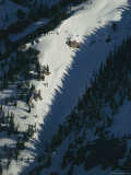 Trees Cast a Jagged Shadow on the Snow in This Aerial Shot Fotografisk tryk af Paul Chesley Trees Cast a Jagged Shadow on the Snow in This Aerial Shot Fotografisk tryk af Paul Chesley
