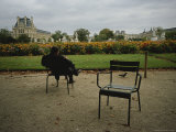 A Man Reads in the Tuileries Gardens Photographic Print by Raul Touzon