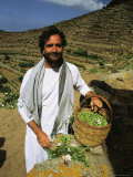 Portrait of a Man Holding a Basket Full of Capers Photographie