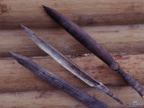 A Close View of a Blow Gun and Arrows Found on the Expedition Photographic Print by Nicolas Reynard