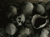 Human Skulls Discovered in a Pit During Excavation of a Shang Capital Photographic Print by O. Louis Mazzatenta