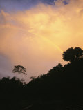 A Rainbow Arcs Across a Jungle Scene Photographie
