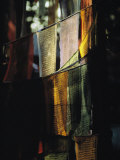 Ed George - Buddhist Prayer Flags Hang in the Trees in Darjeeling Fotografická reprodukce