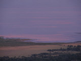 Thousands of Flamingoes Give a Pink Cast to Tanzanias Lake Manyara Photographic Print