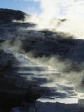 Steam Rises from the Terraced Mammoth Hot Springs Photographic Print