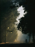 A Bicyclist Travels Down an Empty Street on a Misty Morning Photographic Print by Raul Touzon