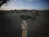 Archaeologists on Donkeys Follow the Path of Ancient Copper Traders Photographic Print by Kenneth Garrett