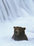 Bear Waterfall