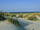 A Beachgoer Walks on Sand Dunes Towards the Beach Photographic Print by Steve Winter