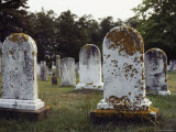View of Gravestones Covered with Lichens Photographic Print