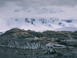 Penguins Crowd the Rocks Near a Bleached out Whale Skeleton Photographic Print