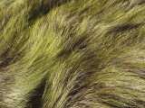 Patterns in Marsh Grass Photographie